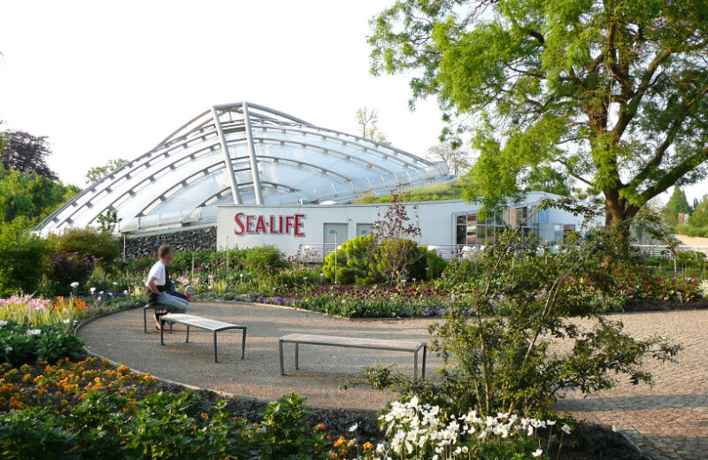 SEA LIFE Hannover